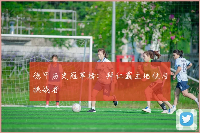 德甲历史冠军榜：拜仁霸主地位与挑战者